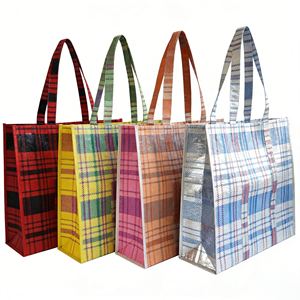 Sac écologique promotionnel léger et recyclable avec logo personnalisé, sac tissé en PP pliable avec fermeture à boucle et crochets, couleurs personnalisées - Product Image 1