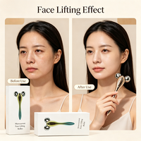 Rouleau facial à micro-courant alimenté par énergie solaire, masseur facial, outil de beauté pour le lifting du visage, le contouring, le resserrement de la peau, soin quotidien de la peau