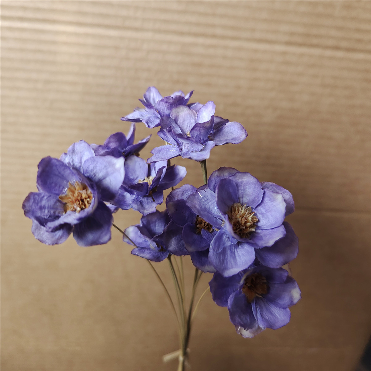 Viola chiaro 10 steli per ogni mazzo