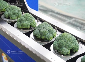 Machine de découpe automatique à séparation de chou-fleur Machine de découpe de brocolis Coupe-fleurons - Product Image 2