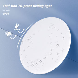 Modern Minimalist Hotel Use Surface Mounted Ceiling <b>Lights</b> for Indoor <b>Corridors</b> White LED with Iron Construction - Product Image 2