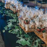 Cornet à glace jetable biodégradable, rouleau de sushi en bois, récipient alimentaire