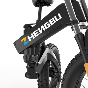 <span class=keywords><strong>Amazon</strong></span> Offre Spéciale léger et solide 7 vitesses gros pneu vélo électrique cadre en magnésium 750W 48V E vélo 20 "pliable électrique neige vélo - Product Image 4