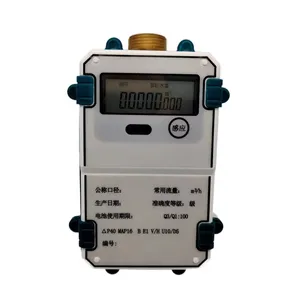 Stable Metrological Performance LoRaWAN Ultrasonic Water Meter DN15