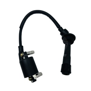 คอยล์จุดระเบิดรถจักรยานยนต์ชิ้นส่วนรถจักรยานยนต์ชุดแรงดันสูงสำหรับ <span class=keywords><strong>TRK251</strong></span> BJ250ของ <span class=keywords><strong>Benelli</strong></span> - Product Image 6