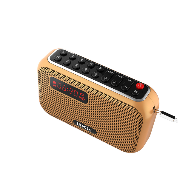 Mini Portable FM Radio Handfree TF Card USB Digital Music Player Stereo Audio Bluetooth Speaker