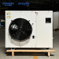Unité de condensation à compresseur scroll Dashang 3HP 4HP basse température R404A de type coffre pour chambre froide et congélateur walk-in