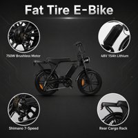Vélo électrique Scrambler Style Fat Tire 750W 48V 15AH avec porte-bagages arrière, cadre en acier haute teneur en carbone, 7 vitesses, frein à disque hydraulique, écran LCD