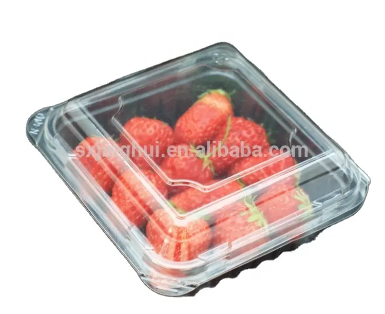 Disposable Fruit Food Container Packing Tray