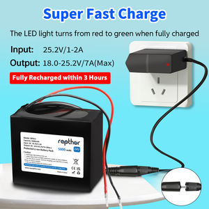 Rapthor 24v 5000mah נטענת ליתיום סוללה נטענת ליתיום סוללה נטענת ליונים - Product Image 3