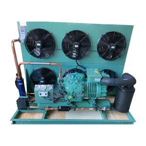 RUIXUE Open Type Condensing Unit Refrigerator For Cold Room Condensing Unit