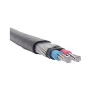 Cable XLPE de cobre eléctrico de 600V y 1000V, Cable concéntrico aislado de PVC 2x6 2x4 2x10 2x16 2x6 + 1x8 AWG para construcción aérea