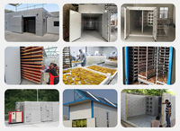 Séchoir à pompe à chaleur solaire personnalisé en usine Séchoir à thé de haute qualité Déshydrateur de feuilles à haute efficacité