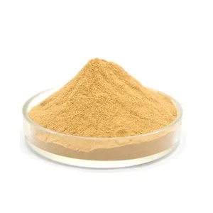 Best price water soluble Organic Coriander Seeds Powder Coriander Extract