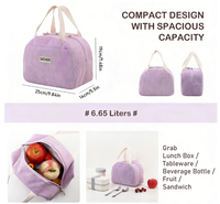 Sac à déjeuner isotherme grande capacité DICHOS, sac à main portable, pour le travail, l'école, les repas à emporter