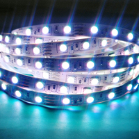 5050 Led Rgb 12v 24V rayures Led lumières pour la maison conseil largeur 10mm 60 lumières/m Tv rétro-éclairage Led voiture bande lumières