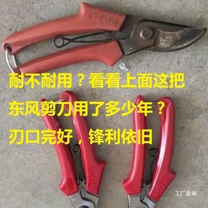 กรรไกรตัดแต่งกิ่งต้นไม้ Dongfeng ทำจากเหล็กกล้าคาร์บอน ขนาด 20-30 มม. สำหรับตัดแต่งต้นไม้ผลไม้ ดอกไม้ บอนไซ ใช้ในงานสวน ด้ามจับสีแดง - Product Image 4
