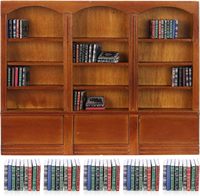 Mini bibliothèque affichage étagère maison de poupée décor Miniature maison vitrine anxiété étagère ornement