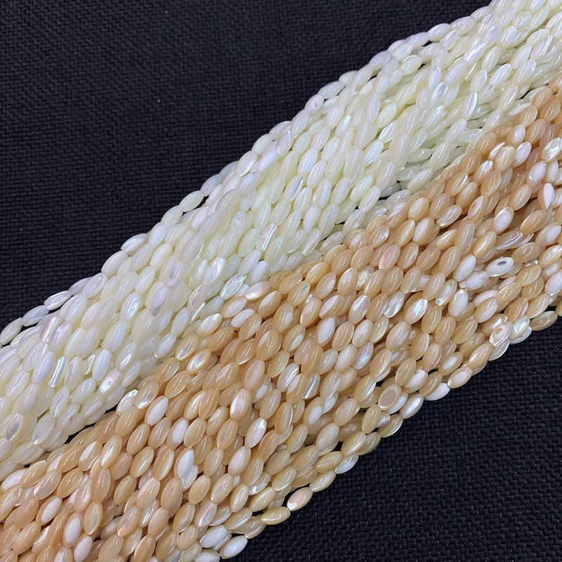 Natural Seashells Beads for Jewelry Making