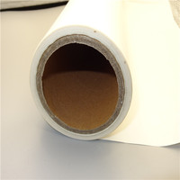 Rollo de Película Adhesiva Termofusible PES para Unir Parches Bordados, Cuero y Calzado