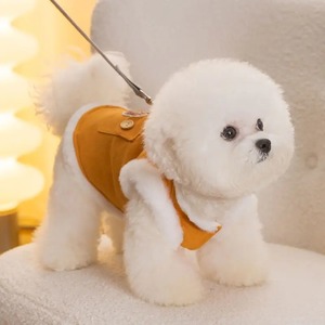 Veste en coton pour chien avec poche pour chat, ours en peluche, pour l'automne et l'hiver, pour garder au chaud, ours en peluche épais, vêtements mignons pour animaux de compagnie - Product Image 3