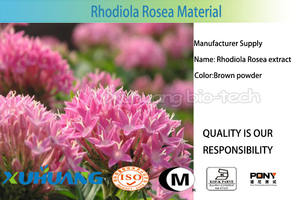 Bulk Natural Rhodiola Rosea Extrato Em Pó - Product Image 3