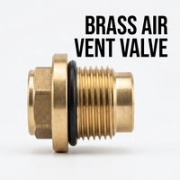 Katup Ventilasi Udara Kuningan 1/2 Inci, Katup Pembuangan Kuningan Cocok untuk Bahan Renovasi Rumah, Material Plumbing dan Listrik