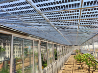 Panneau solaire transparent personnalisé 185w-215w panneau solaire Bipv panneau solaire transparent à double verre