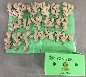 محصول جديد الزنجبيل الصيني المجفف بالهواء في المبيعات الساخنة - Product Image 3