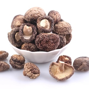 Xiang Gu Funghi <span class=keywords><strong>Shiitake</strong></span> Essiccati Freschi, Alimenti Erboristici Cinesi all'Ingrosso - Product Image 1