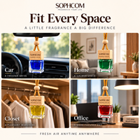 Nouveau Diffuseur de Parfum Suspendu en Verre de Luxe Miniature de Marque, Parfum Pêche Nectar, pour Voiture, Guangzhou