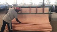 Placage de bois d'Okoumé du Gabon de Jinshan Wood