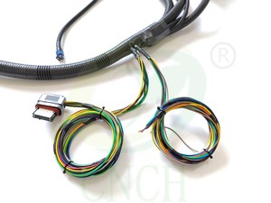 2006-2007 24X GEN IV LS2 6.0スタンダロン配線ハーネス4L60E (DBW) - Product Image 4