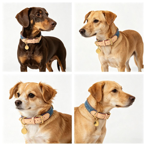 Conjunto de collar y correa de diseño para perros, accesorios de moda para mascotas, collar y correa ajustables, disponible en stock. - Product Image 2