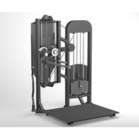Máquina de Gimnasio Multifuncional de Doble Función para Brazos, Bíceps y Tríceps, Máquina de Curl de Brazos de Pie con Peso Integrado