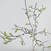 Branches de saule artificielles réalistes de 96 cm, style printanier, fausses branches d'arbre séchées, pour décoration de mariage, salon, maison, café