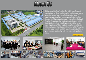 燃料噴射ポンプF6L913ディーゼルエンジンスペアパーツ - Product Image 4