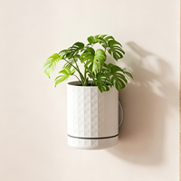 Pot suspendu mural auto-arrosant avec corps en PET blanc transparent, installation sans perçage, décoration moderne minimaliste pour la maison