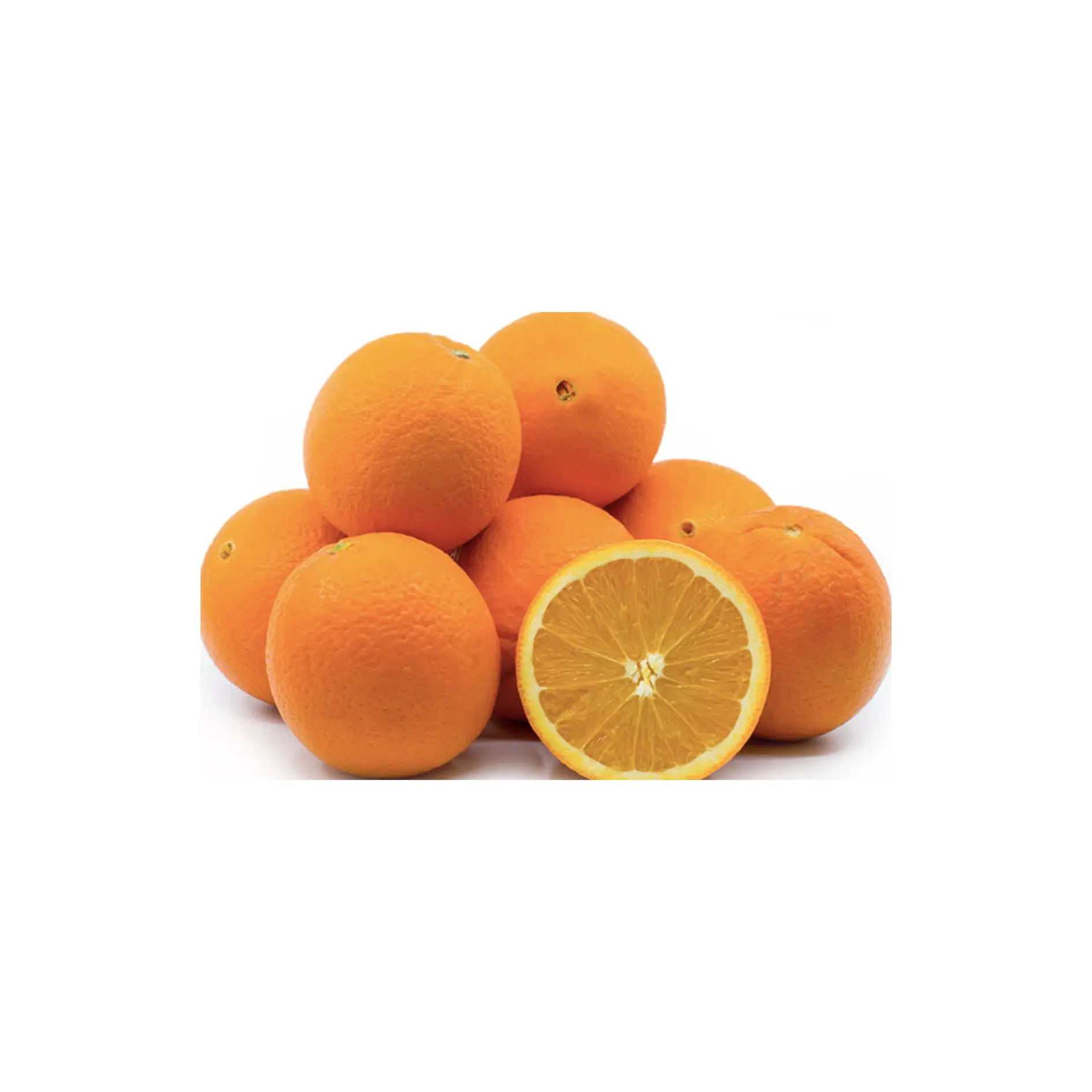 Toptan sağlıklı taze meyve ithalatçıları ihracat tatlı mandalina portakal