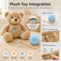 Module sonore portable rechargeable OEM enregistrable avec bouton poussoir, languette de tirage, USB, pour jouet en peluche, haut-parleur programmable pour animaux en peluche