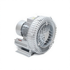 ปั๊มสุญญากาศแบบ 3 เฟส 220/380/440V 4kw 2GH 710-H37 เครื่องเป่าลมแบบแหวนด้านข้าง - Product Image 4