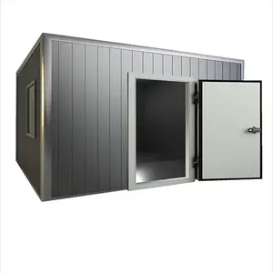 Hot Sale Customized 4M*2M*2.3M 2-8 Degree Cold Storage Room Walker in Cooler For Fresh Fruit And Vegetables