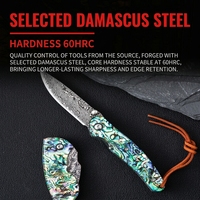 Mini couteau pliant Damas avec manche en nacre, vente en gros pour le camping, la chasse, la randonnée, la cuisine, la collection, EDC, cadeau