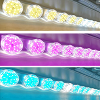 Lumières de cabochon LED automatiques RGBW AC24V 65mm IP65 E14 pour parcs d'attractions, manèges et fêtes foraines