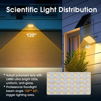 Faro LED Solare ad Alta Luminosità 160LM/W, Alloggiamento in ABS, Impermeabile IP65, Batteria LiFePO4 per Giardino, Cortile, Muro, Lampada da Esterno