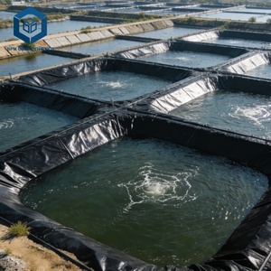 Géomembrane HDPE/LLDPE 20 mils pour bassins de <span class=keywords><strong>jardin</strong></span> et projets d'étanchéité - Product Image 1