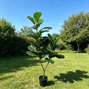 ต้นไม้ประดิษฐ์สีเขียวในกระถางพร้อมของตกแต่งใบต้นไทรสำหรับวางบนพื้นห้องนั่งเล่น - Product Image 5