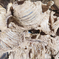 Côtes de lapin lyophilisées, collation saine pour animaux de compagnie, pure viande de lapin avec os, sans conservateur, récompense d'entraînement, vente en gros, OEM