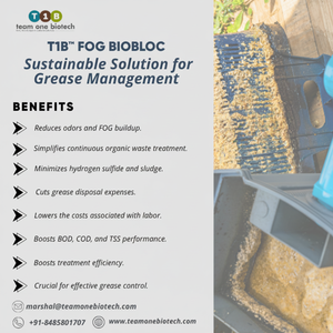 Bloque Biológico FOG para Cocinas Comerciales, Producto para Lavado de Platos y Esterilización, Elimina Grasa y Aceite en el Tratamiento de Aguas Residuales - Product Image 1