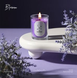 Bougies Parfumées pour la Décoration Intérieure, Cadeaux d'Anniversaire, Coffret Cadeau Saint-Valentin, Ensemble de Bougies en Pot - Product Image 4